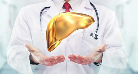 a healthy liver