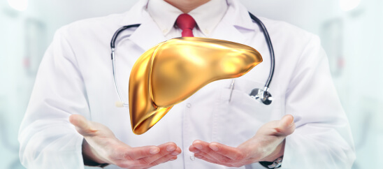 a healthy liver