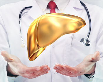 a healthy liver